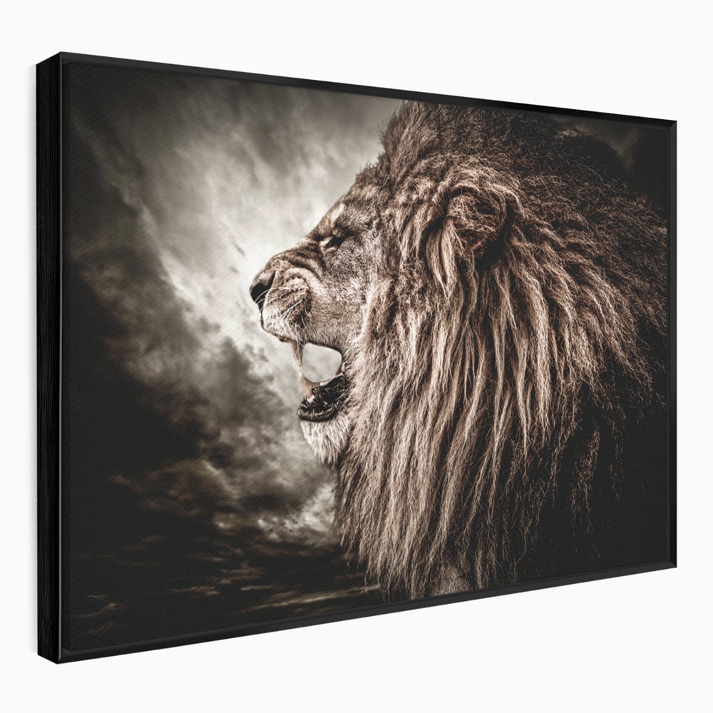 Tablou canvas cu tablou canvas cu leu racnind, in rama de aluminiu negru